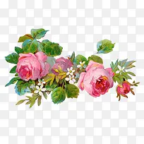 手绘玫瑰花-空若网 手绘玫瑰花-空若网