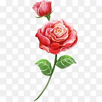 手绘玫瑰花素材-空若网 手绘玫瑰花素材-空若网