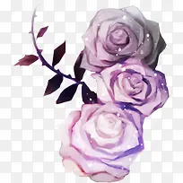 ˮ��õ�廨-������