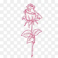 手绘玫瑰-空若网 手绘玫瑰-空若网