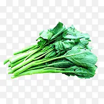 新鲜芥蓝叶食物-空若网 新鲜芥蓝叶食物-空若网