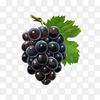 葡萄-空若网 葡萄-空若网