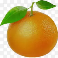 橙色的橘子-空若网 橙色的橘子-空若网