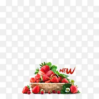 ��ɫ��ݮ-������