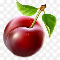 手绘新鲜水果李子-空若网 手绘新鲜水果李子-空若网