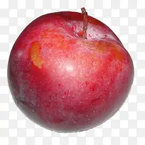 李子素材-空若网 李子素材-空若网