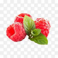 ˮ����ݮ-������