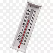 Vizioϥ���͵��Բ�������ƽ����ʾ��.�¶ȼ�-������