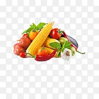 ÐÂÏÊÊß²Ë-¿ÕÈôÍø ÐÂÏÊÊß²Ë-¿ÕÈôÍø