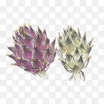 手绘洋蓟-空若网 手绘洋蓟-空若网