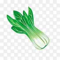 ��ɫ�����߲����-������