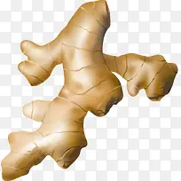 生姜-空若网 生姜-空若网