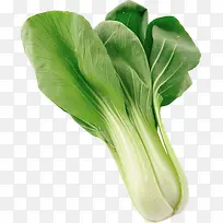 ÐÂÏÊÊß²Ë-¿ÕÈôÍø ÐÂÏÊÊß²Ë-¿ÕÈôÍø