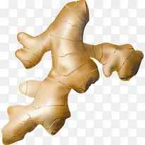 生姜修饰素材-空若网 生姜修饰素材-空若网