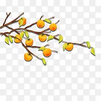 ����ˮ��-������