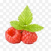 水果-空若网 水果-空若网