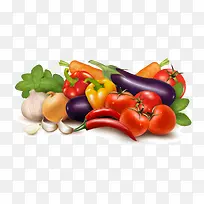 ��ɫ�л�ʳ���߲�-������