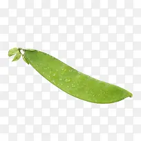 新鲜荷兰豆-空若网 新鲜荷兰豆-空若网