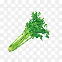 蔬菜-空若网 蔬菜-空若网