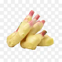 生姜蔬菜姜牙蔬菜-空若网 生姜蔬菜姜牙蔬菜-空若网