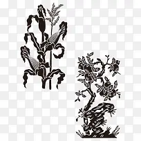 玉米-空若网 玉米-空若网