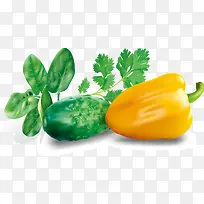 手绘绿色新鲜蔬菜元素-空若网 手绘绿色新鲜蔬菜元素-空若网