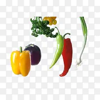 Êß²Ë-¿ÕÈôÍø Êß²Ë-¿ÕÈôÍø