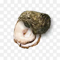 新鲜美味生蚝-空若网 新鲜美味生蚝-空若网