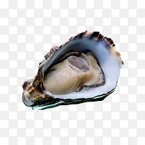 ���ʿɿ����-������