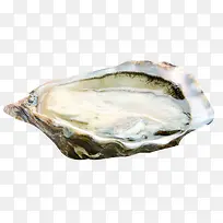 ���ʰ��������-������