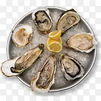新鲜冰镇生蚝-空若网 新鲜冰镇生蚝-空若网