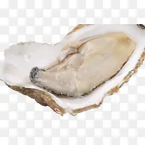 �������-������