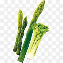 新鲜蔬菜-空若网 新鲜蔬菜-空若网