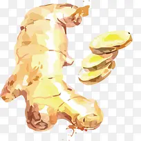 矢量手绘生姜素材-空若网 矢量手绘生姜素材-空若网