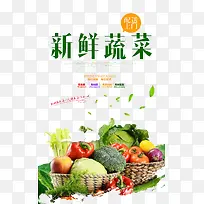 �����߲�-������