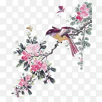 ϲȵ-������