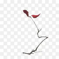 Ê÷֦ͷҶ×Ó-¿ÕÈôÍø Ê÷֦ͷҶ×Ó-¿ÕÈôÍø