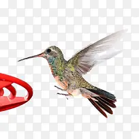 �ɱ���С��-������