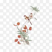 Ê÷Ö¦ÉϵÄϲȵ-¿ÕÈôÍø Ê÷Ö¦ÉϵÄϲȵ-¿ÕÈôÍø