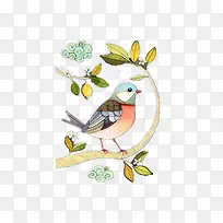 ϲȵ-������