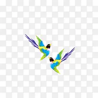 喜鹊-空若网 喜鹊-空若网