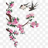 插画喜鹊素材工笔画-空若网 插画喜鹊素材工笔画-空若网