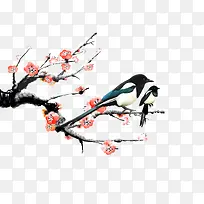 喜鹊-空若网 喜鹊-空若网