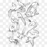 七夕喜鹊-空若网 七夕喜鹊-空若网