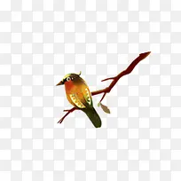 鸟-空若网 鸟-空若网