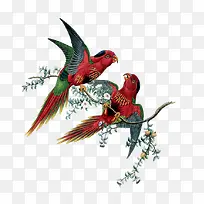 动物-空若网 动物-空若网