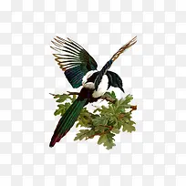 Ê÷֦ϲȵ-¿ÕÈôÍø Ê÷֦ϲȵ-¿ÕÈôÍø