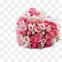 爱心形状花朵植物-空若网 爱心形状花朵植物-空若网