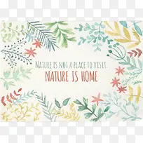 ��ˬ����ˮ��Ҷ�Ӻϼ�-������