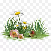 花卉剪贴画-致谢-空若网 花卉剪贴画-致谢-空若网